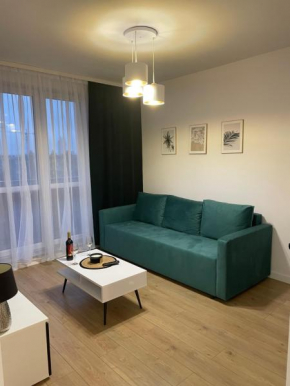 Katowice Apartament Modrzewiowa 24